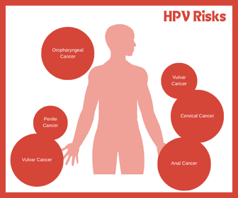 Diagram showing HPV risks, including oropharyngeal cancer, vulvar cancer, cervical cancer, anal cancer, and penile cancer in a human silhouette, emphasizing areas of impact.